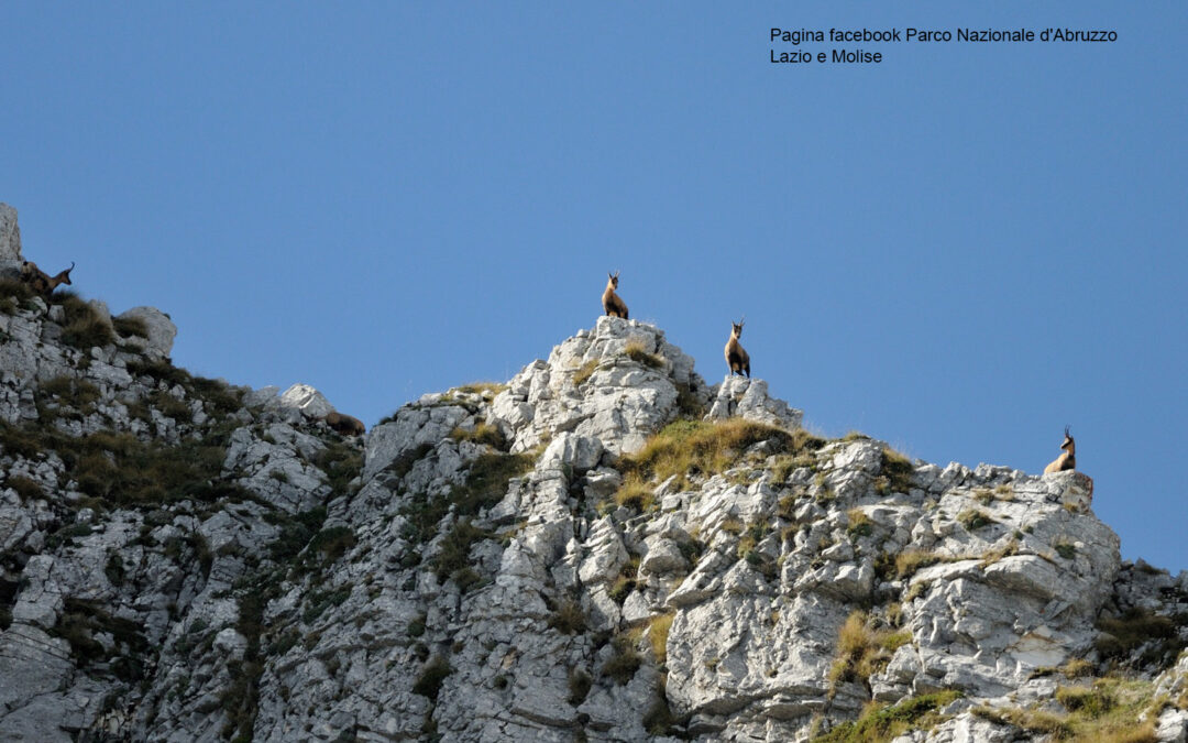 Parco Nazionale Abruzzo Lazio e Molise